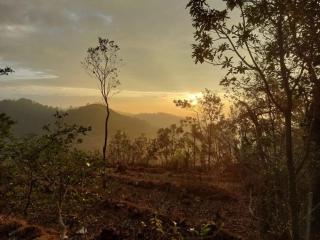 Kale Cottage Belihuloya - 4