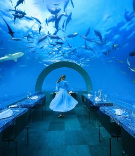 You & Me Maldives - Adults Only - Premium All-Inclusive - Raa Atoll - 0