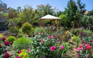 Stamatakis Boutique Studios - Platanias - 9