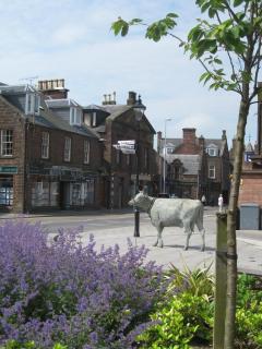 Ardmuir - Turriff - 3