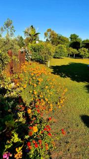 Flora Pansiyon Çıralı - Kemer - 1