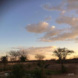 ANSTA FARMHOUSE CAMPING & Nursery cc - 5