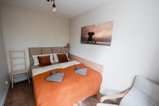 Cathedral Apartment - Stettino - 1