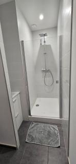 studio en plein centre et proche de la gare - Roanne - 4