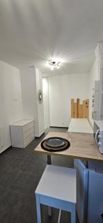 studio en plein centre et proche de la gare - Roanne - 1