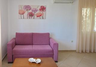 Myrtilo cottage - Votsi - 7