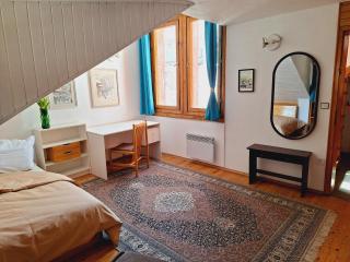 The Architect's Apartment - top center, spacious, unique - Sofia - 5