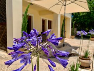 Aggelos and Thisbe Chania Suburbs Sea View Guest House - Chania - 3