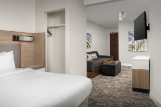 SpringHill Suites by Marriott Atlanta Buford/Mall of Georgia - Buford - 1