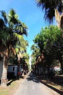 Very nice mobil home of 3 rooms in a 4 stars Camping - 1