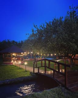 Horace Guesthouse POOL & HOT TUB & BIKES & RIVER - Dejani - 2