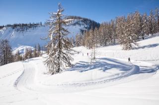 Appartement Puy-Saint-Vincent - 1