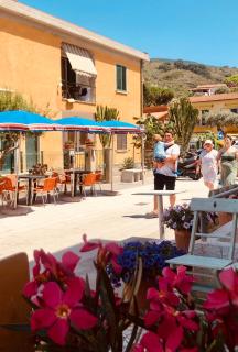 Appartamenti vicini al mare a Giglio campese - Campese - 9