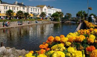 Dawlish Lawn View - Dawlish - 3