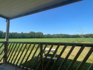 Lovely chalet in Schoonloo with patio - 6