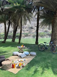 Mementos by ITC Hotels, Ekaaya, Udaipur - Udaipur - 5
