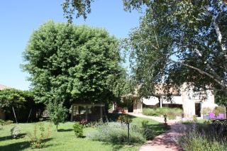 Les Milahinas - Lescure-dʼAlbigeois - 9