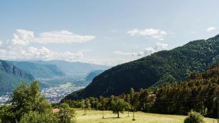 Haflingerhof - San Genesio Atesino - 4