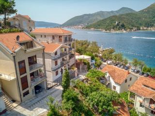 Apartmani Nikic -Tivat - Tivat - 1