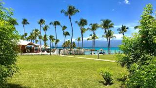 coconut beach - Le Gosier - 1