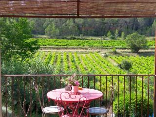 Le Figuier appart 2-3 pers en plein vignoble avec piscine privée à 30mn des gorgesdu Verdon et des plages - 8