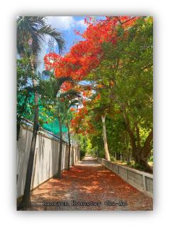 Rangyen Homestay Cha-Am รังเย็น - Petchaburi - 8
