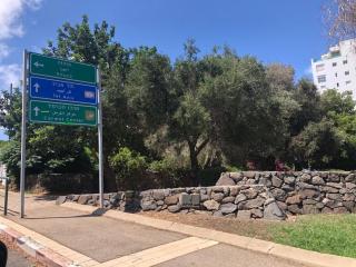לאון ספא לופט - חדרי אירוח עם בריכה פרטית וסאונה בלב חיפה - Haifa - 1