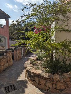 Residenze Il Girasole - Golfo Aranci - 8