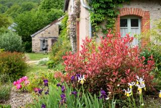 Maison de vacances Les Mésanges, à Ménessaire - Ménessaire - 6