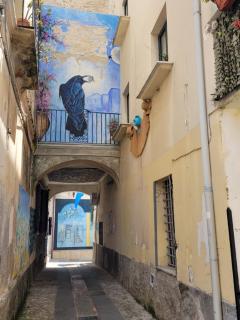 Casa Murales - Diamante - 5
