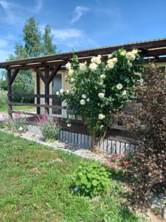 Domki i pokoje nad stawem koło Mrągowa - 8