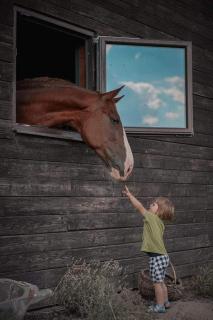 Camping Farm - 7