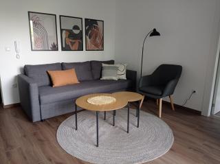 Apartman Plaža 2 - Kladovo - 7