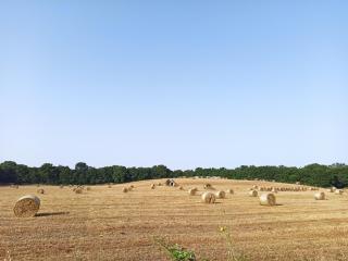 Trullo in piena valle d'itria del 1800 - 2
