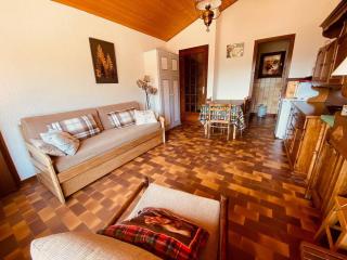 2 pièces cabine sans prétention avec balcon et parking - FR-1-459-47 - La Clusaz - 8