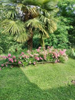 Casa relax immersa nel verde della natura - 3
