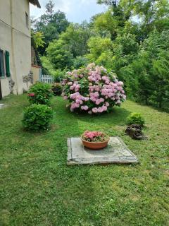 Casa relax immersa nel verde della natura - Casalborgone - 8