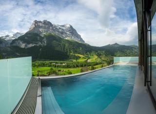 Hotel Spinne Grindelwald - Grindelwald - 1