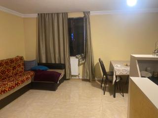 GUEST HOUSE ,, MEMORY'' - Mestia - 4