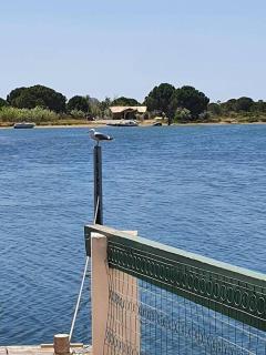 Marina La Plagette RDC appontement XL parking - Le Grau-du-Roi - 9