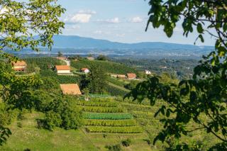 Cosy Hill Home Rucman With a Breathtaking View - 3