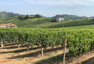 Villa Bricco 46 - Nizza Monferrato - 6