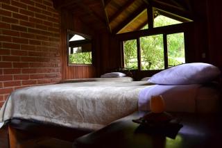 Casa del Río Jardín Botánico y Avistamiento de Aves - 7