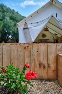Tranquilo Glamping - Hozanejos - 8