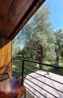 Coratina Cottage - Ulcinj - 5