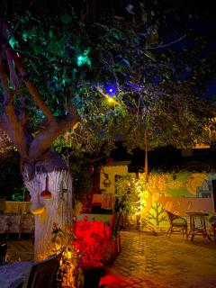 Garden Palace Boutique Hotel - Kusadası - 3