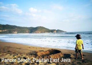 RINA Guest House Pacitan - 7