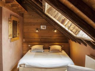 Mansion in Albertville near Ski Slopes - 7