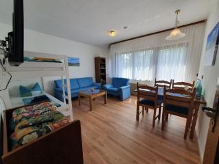 Ferienhaus-Schönwald im Herzen des Schwarzwaldes 2-Zimmer-Wohnung mit Balkon App 19 - Schönwald - 9
