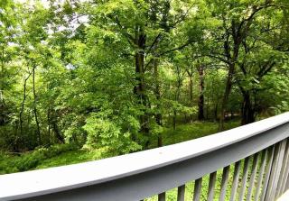 Oak Crest – Mountain Chalet/#9 - Eureka Springs - 8